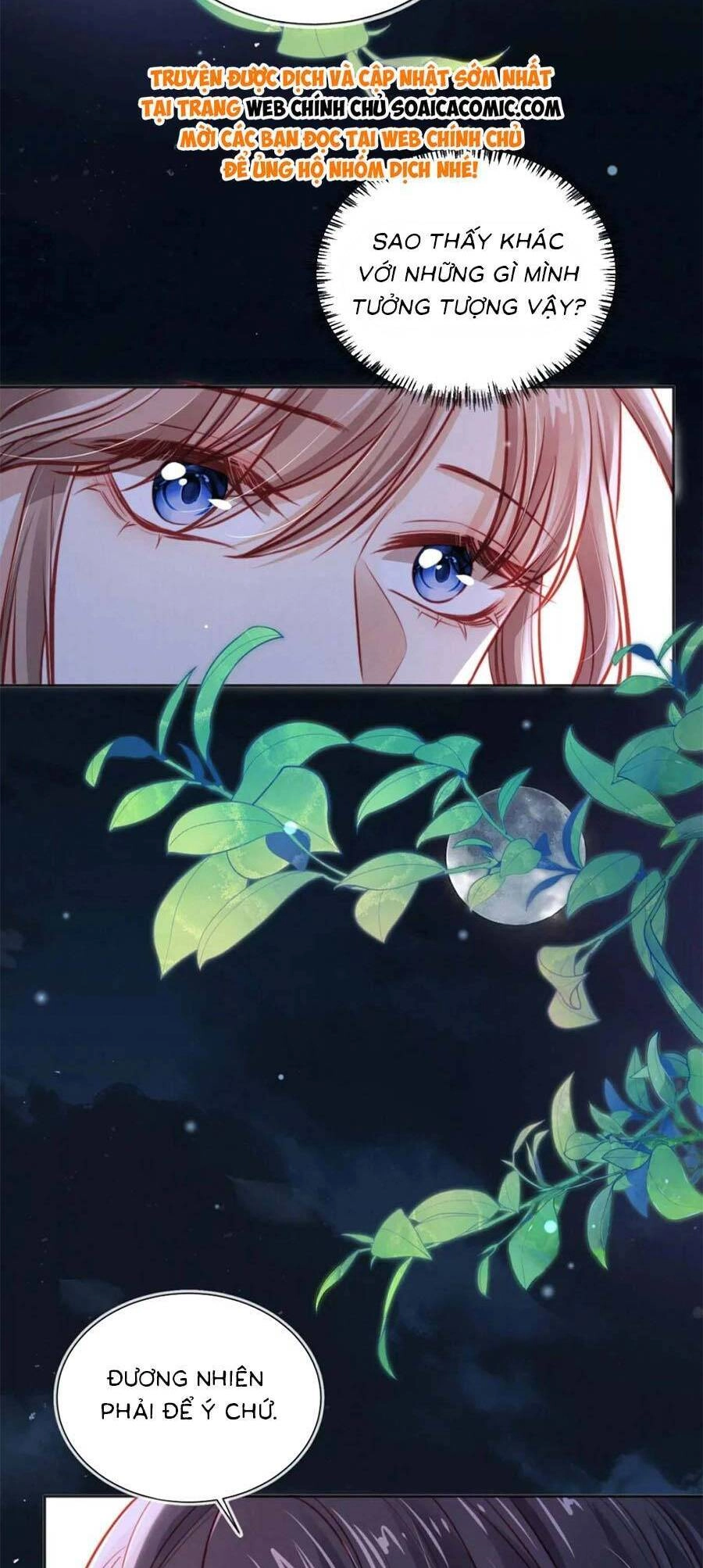 Hoắc Thiếu Lại Phải Theo Đuổi Vợ Yêu Rồi Chapter 40 - 11