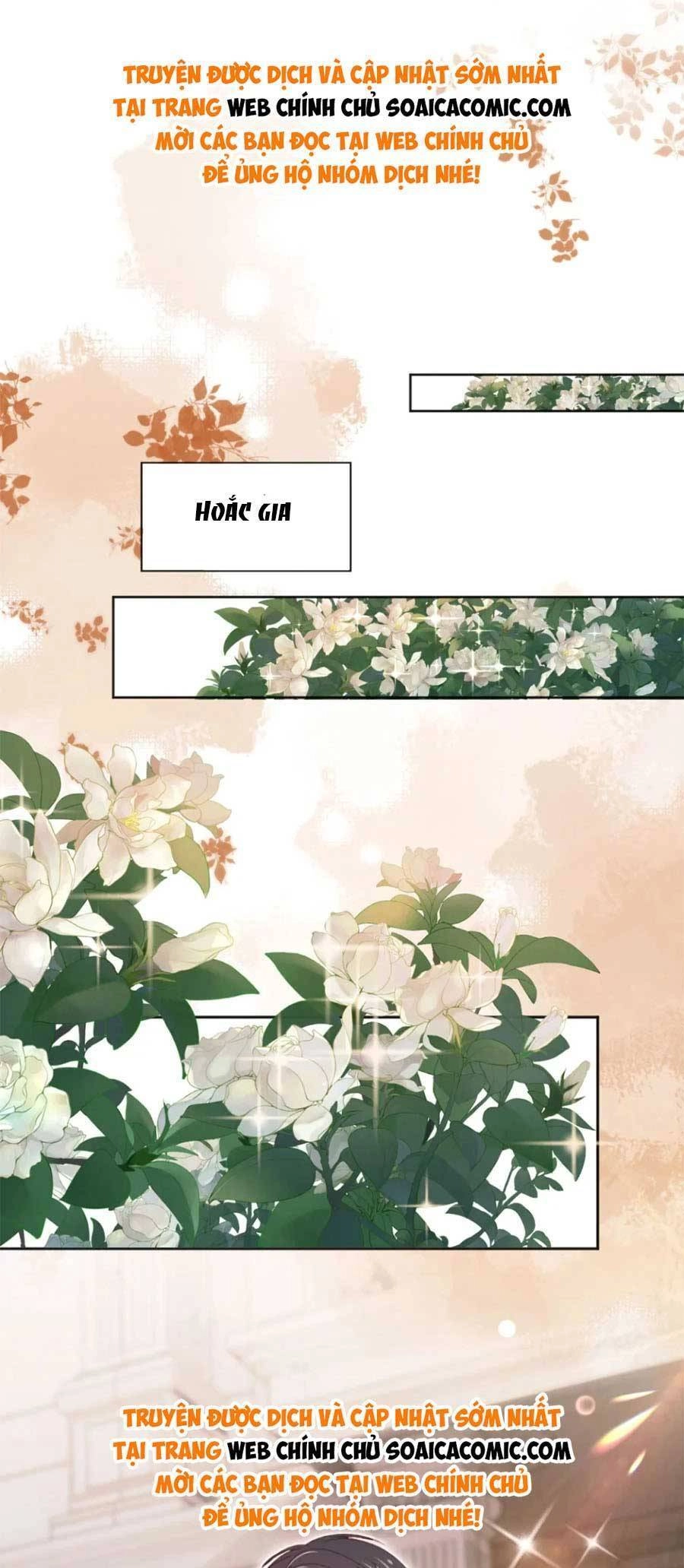 Hoắc Thiếu Lại Phải Theo Đuổi Vợ Yêu Rồi Chapter 33 - 9