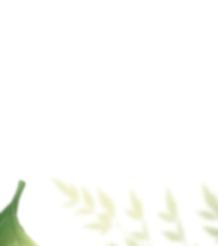 Kiếm Thánh Hồi Quy Và Học Thuyết Ma Pháp Chapter  1 - 286