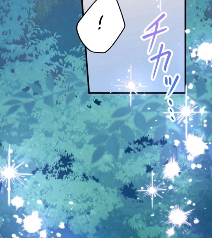 Kiếm Thánh Hồi Quy Và Học Thuyết Ma Pháp Chapter 12 - 116