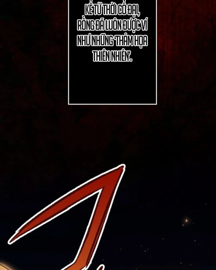 Kiếm Thánh Hồi Quy Và Học Thuyết Ma Pháp Chapter 15 - 2