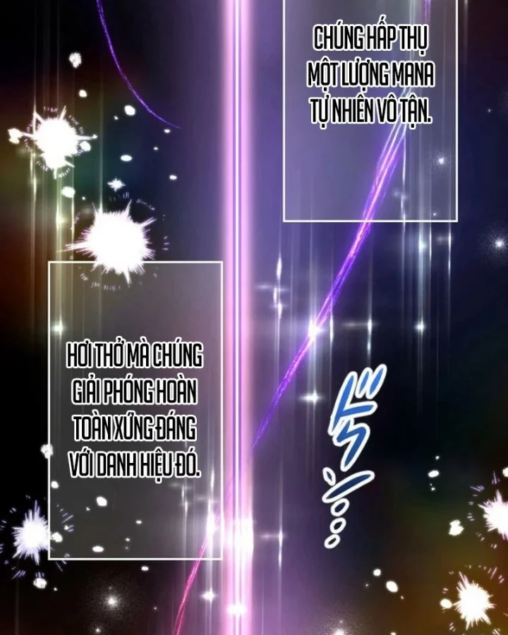 Kiếm Thánh Hồi Quy Và Học Thuyết Ma Pháp Chapter 15 - 6