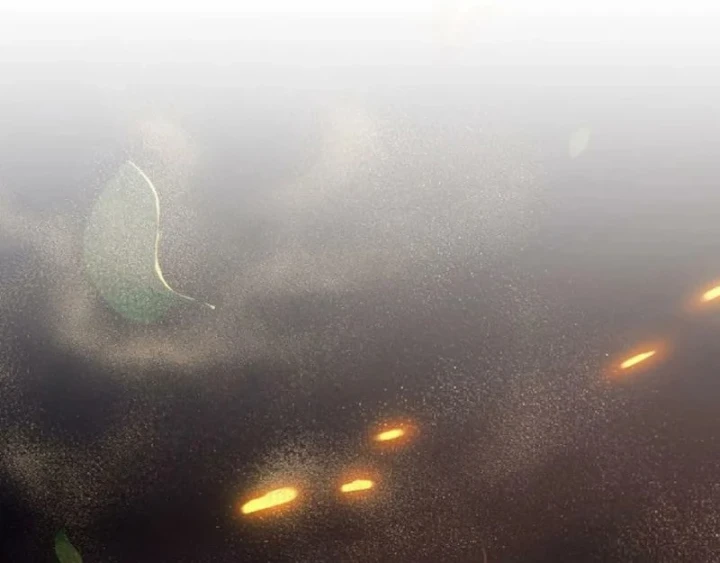 Kiếm Thánh Hồi Quy Và Học Thuyết Ma Pháp Chapter 15 - 29