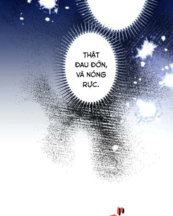 Kiếm Thánh Hồi Quy Và Học Thuyết Ma Pháp Chapter 15 - 70