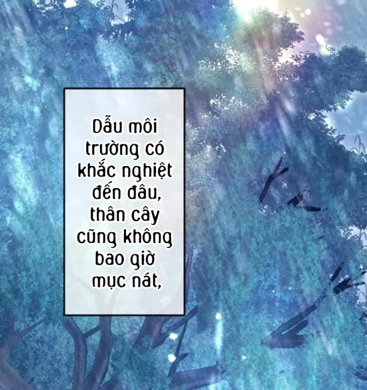 Kiếm Thánh Hồi Quy Và Học Thuyết Ma Pháp Chapter 18 - 44