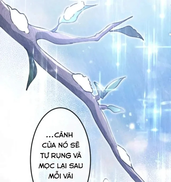 Kiếm Thánh Hồi Quy Và Học Thuyết Ma Pháp Chapter 18 - 47