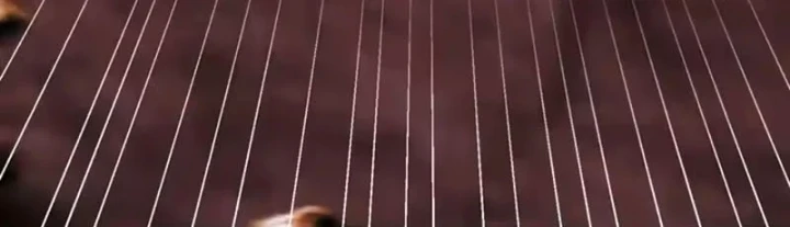 Ngả Bài Ta Chính Là Thiên Tôn Chapter 17 - 275