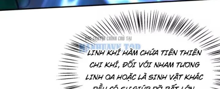 Ngả Bài Ta Chính Là Thiên Tôn Chapter 19 - 192