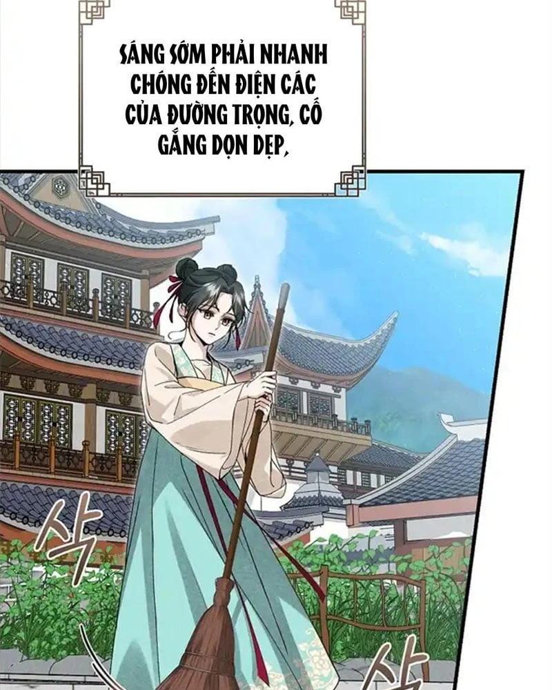 Nhật Ký Sinh Tồn Của Một Nha Hoàn Trong Gia Tộc Họ Đường Ở Tứ Xuyên Chapter 7 - 5