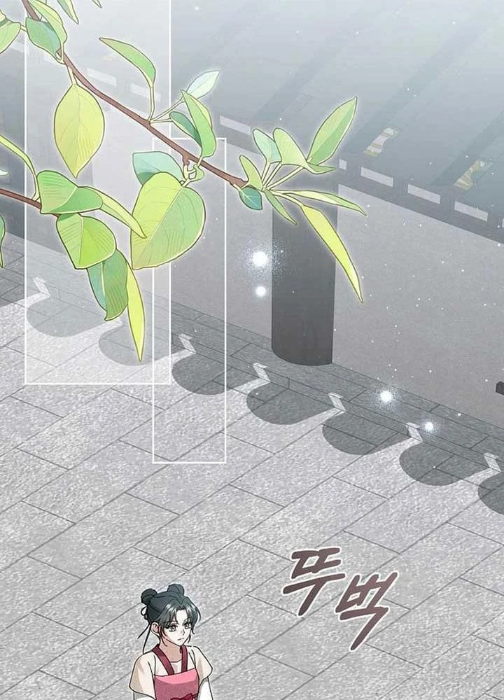 Nhật Ký Sinh Tồn Của Một Nha Hoàn Trong Gia Tộc Họ Đường Ở Tứ Xuyên Chapter 18 - 96