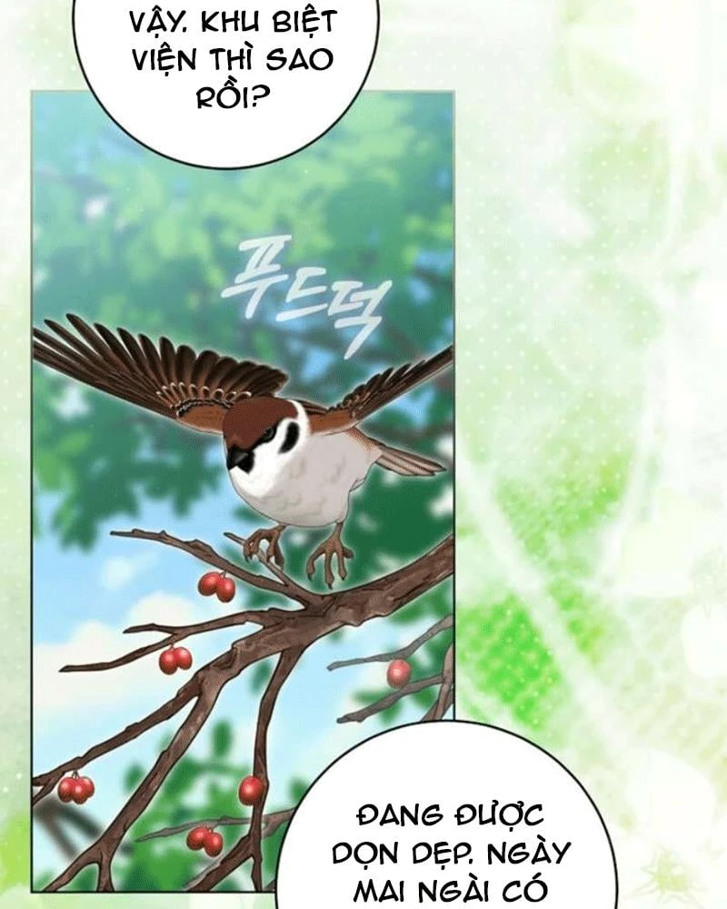 Nhật Ký Sinh Tồn Của Một Nha Hoàn Trong Gia Tộc Họ Đường Ở Tứ Xuyên Chapter 26 - 63