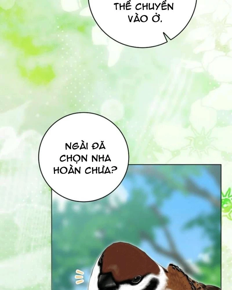 Nhật Ký Sinh Tồn Của Một Nha Hoàn Trong Gia Tộc Họ Đường Ở Tứ Xuyên Chapter 26 - 64