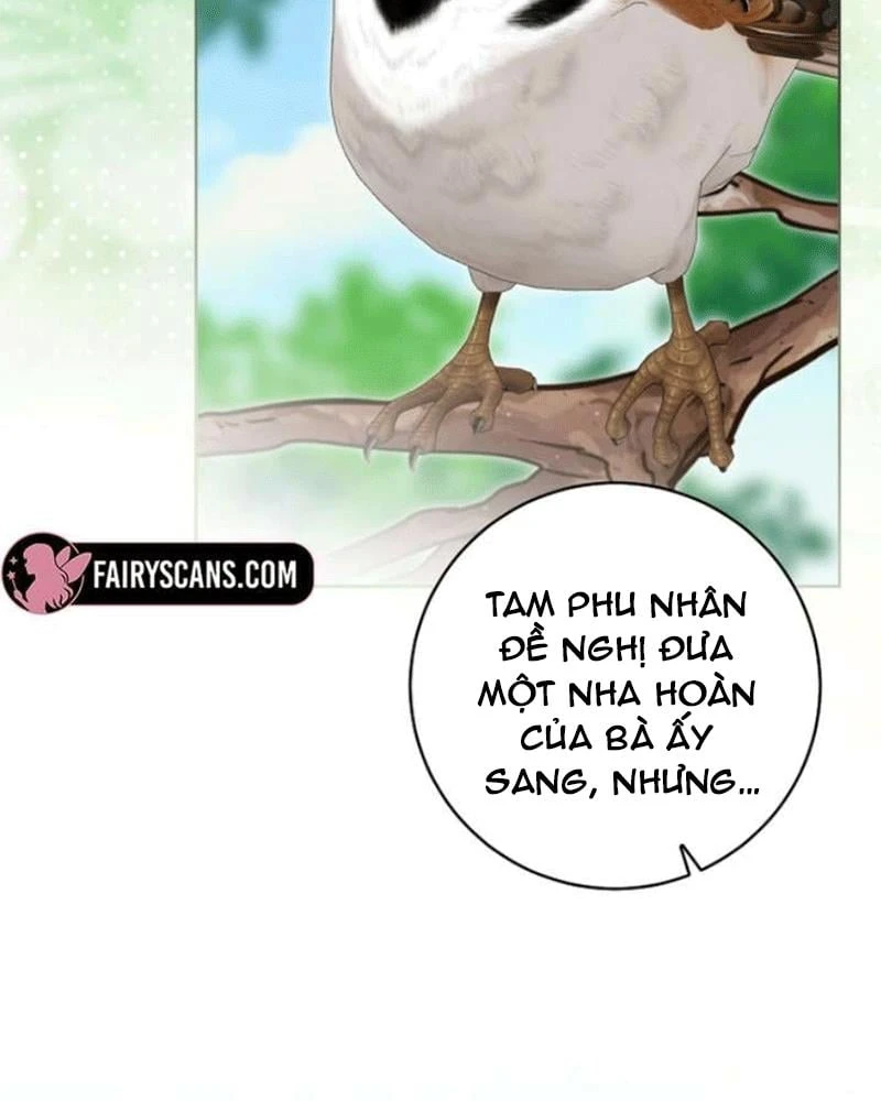 Nhật Ký Sinh Tồn Của Một Nha Hoàn Trong Gia Tộc Họ Đường Ở Tứ Xuyên Chapter 26 - 65