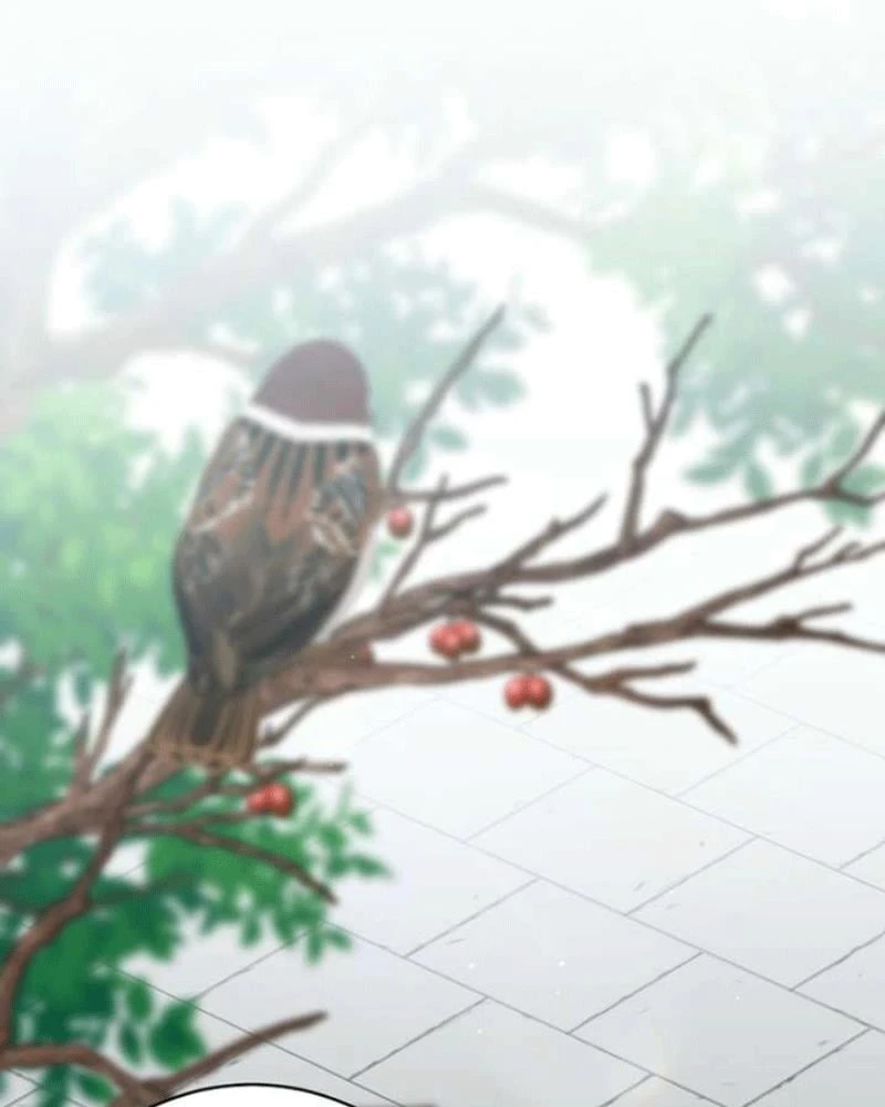 Nhật Ký Sinh Tồn Của Một Nha Hoàn Trong Gia Tộc Họ Đường Ở Tứ Xuyên Chapter 26 - 66