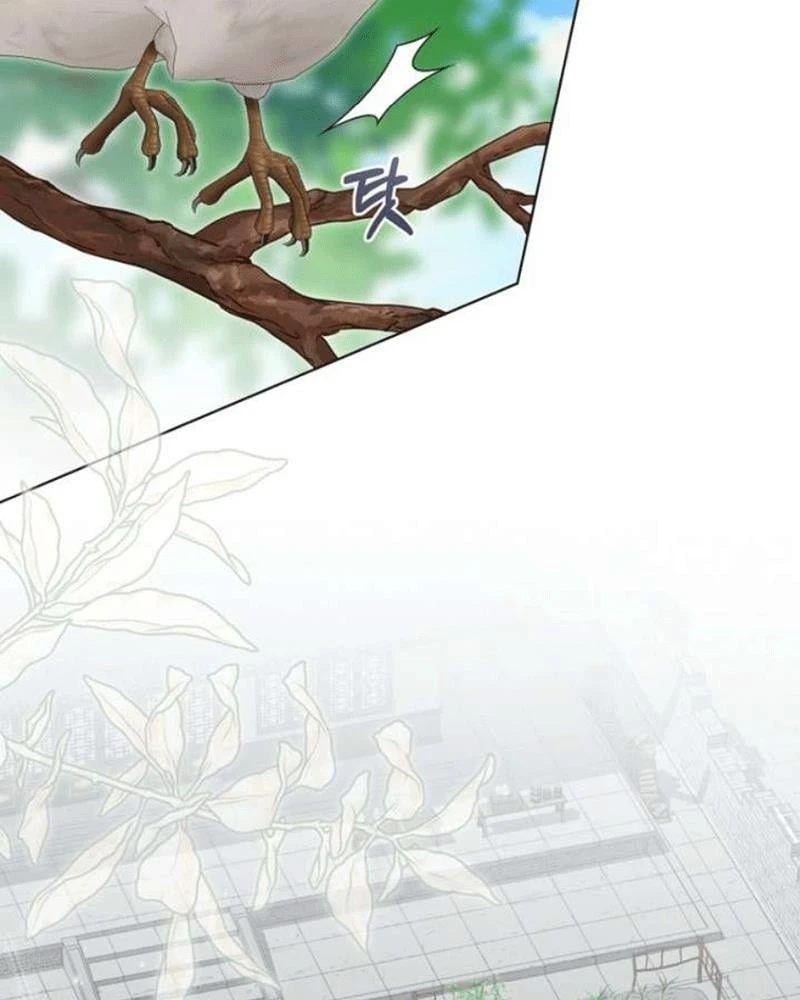 Nhật Ký Sinh Tồn Của Một Nha Hoàn Trong Gia Tộc Họ Đường Ở Tứ Xuyên Chapter 26 - 92