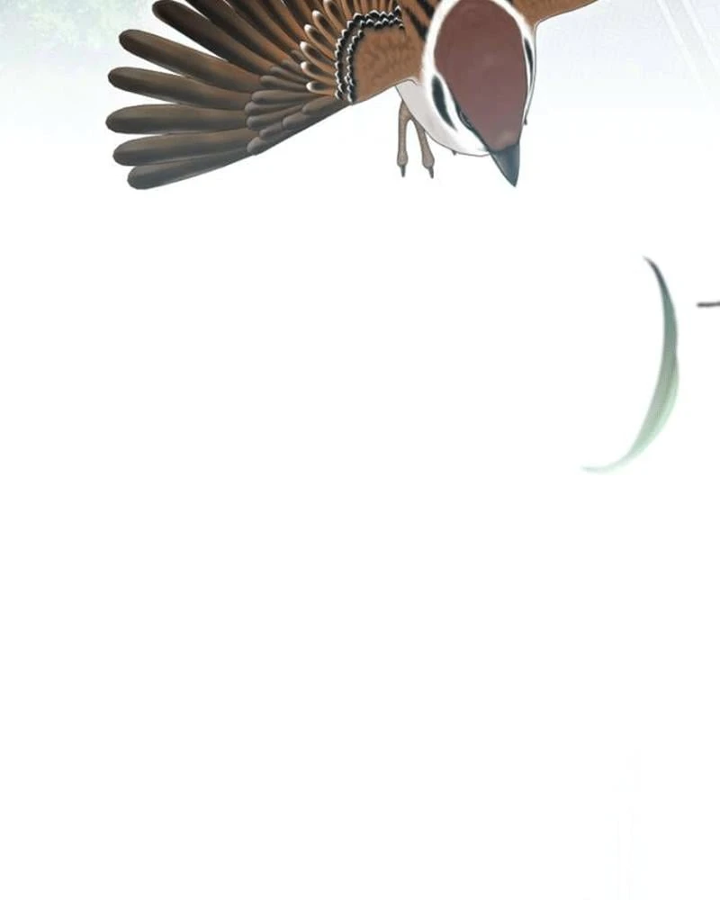 Nhật Ký Sinh Tồn Của Một Nha Hoàn Trong Gia Tộc Họ Đường Ở Tứ Xuyên Chapter 26 - 94