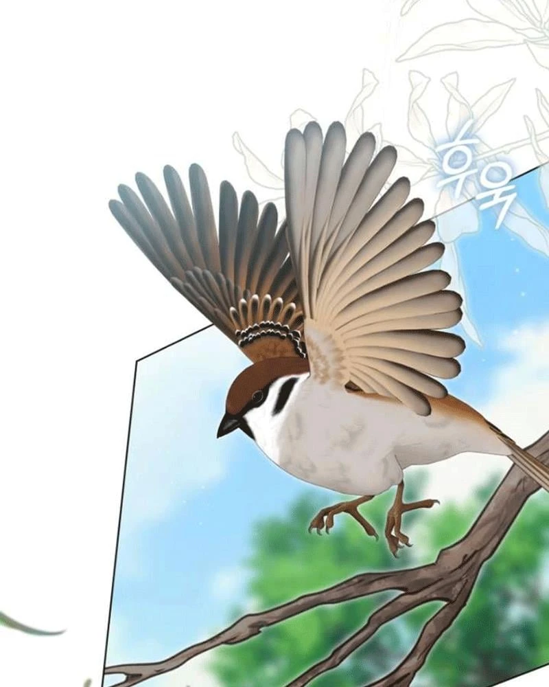 Nhật Ký Sinh Tồn Của Một Nha Hoàn Trong Gia Tộc Họ Đường Ở Tứ Xuyên Chapter 26 - 96