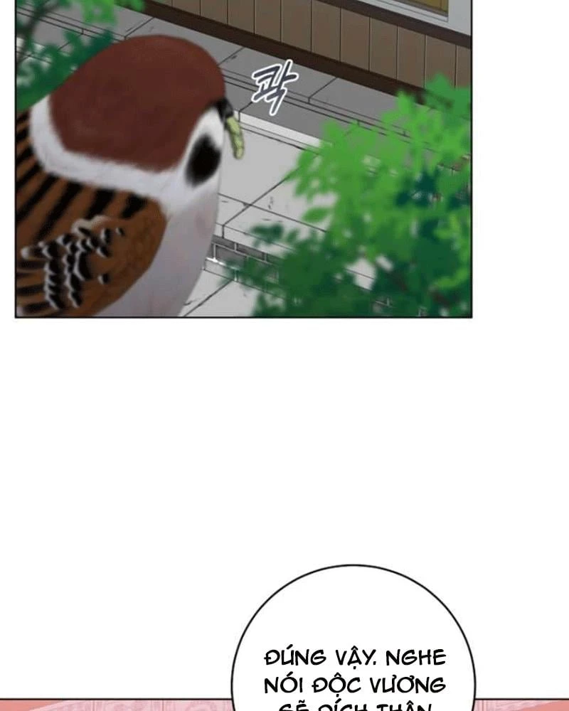 Nhật Ký Sinh Tồn Của Một Nha Hoàn Trong Gia Tộc Họ Đường Ở Tứ Xuyên Chapter 26 - 98