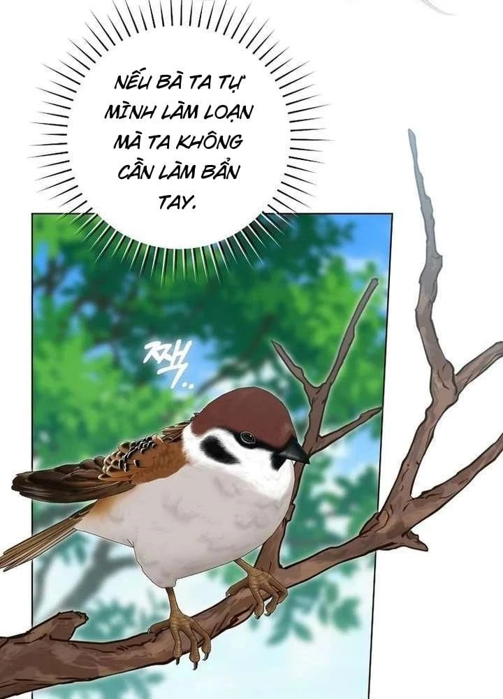 Nhật Ký Sinh Tồn Của Một Nha Hoàn Trong Gia Tộc Họ Đường Ở Tứ Xuyên Chapter 27 - 26