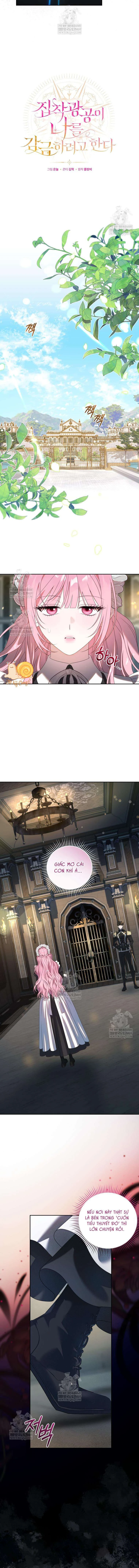 Kẻ Ám Ảnh Cuồng Tín Đang Cố Giam Cầm Tôi Chapter  2 - 6