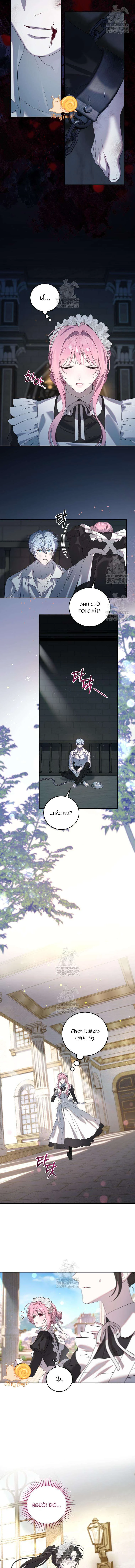 Kẻ Ám Ảnh Cuồng Tín Đang Cố Giam Cầm Tôi Chapter  3 - 12