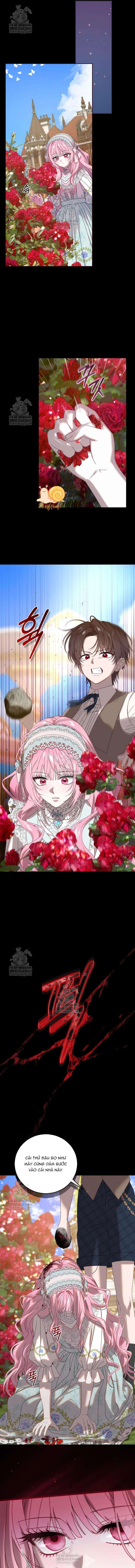 Kẻ Ám Ảnh Cuồng Tín Đang Cố Giam Cầm Tôi Chapter  12 - 4