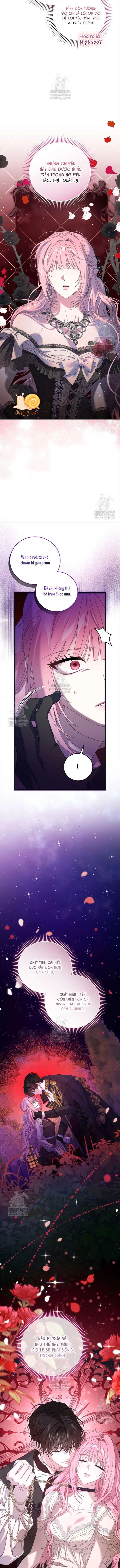 Kẻ Ám Ảnh Cuồng Tín Đang Cố Giam Cầm Tôi Chapter  15 - 6