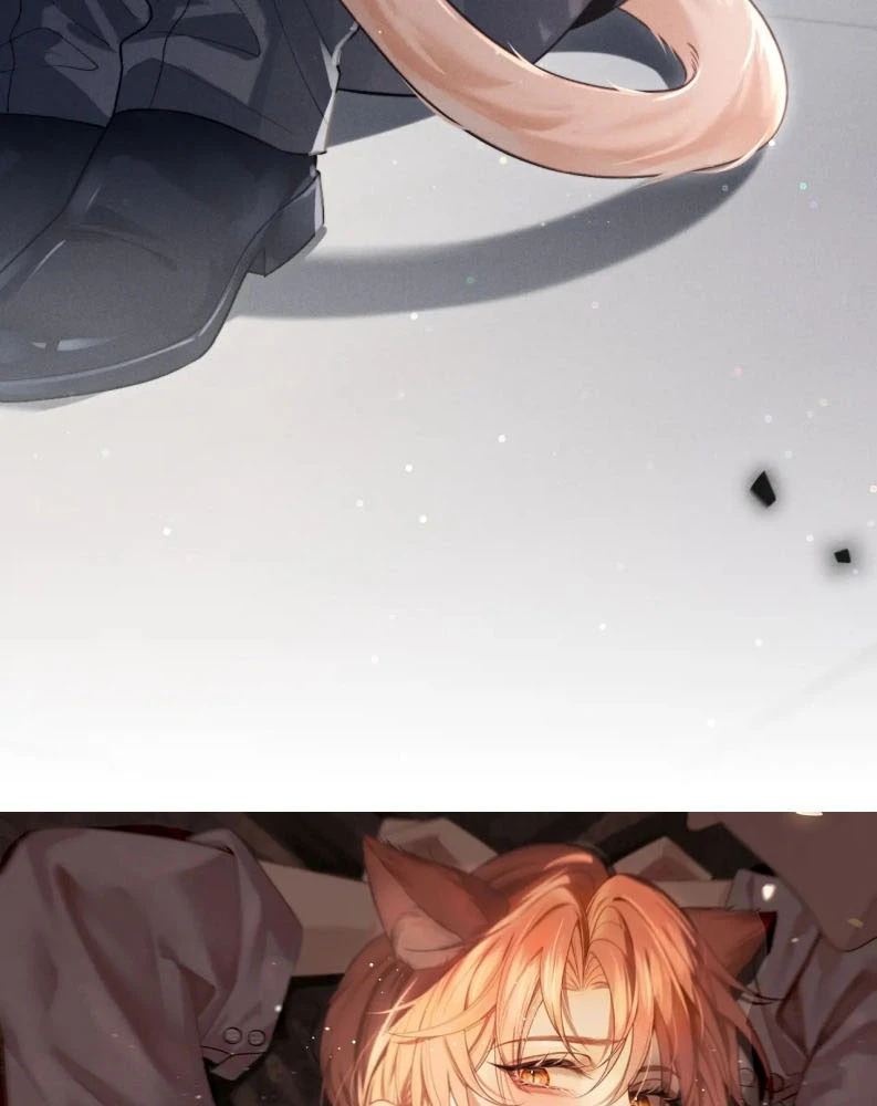 Tật Xấu Nuông Chiều Chapter 2 - 6