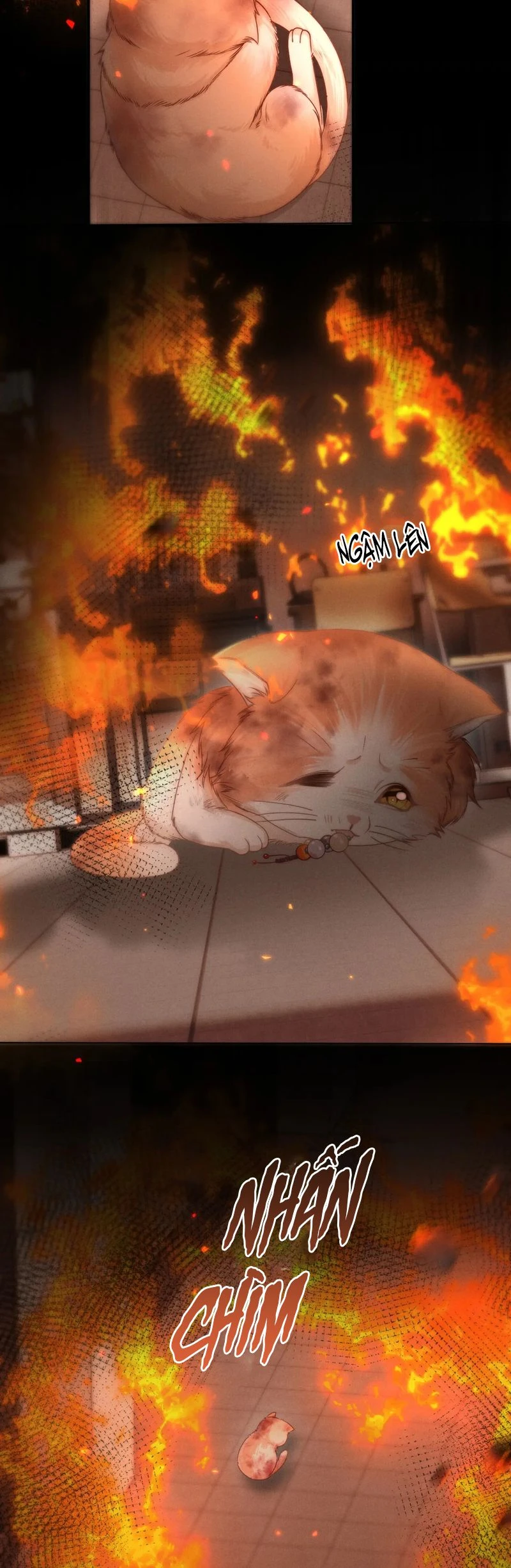 Tật Xấu Nuông Chiều Chapter 5 - 15