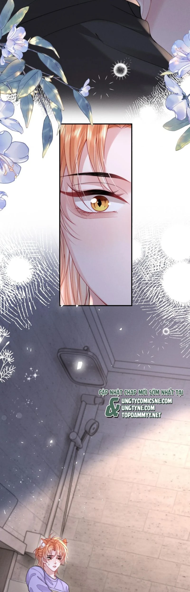 Tật Xấu Nuông Chiều Chapter 39 - 12