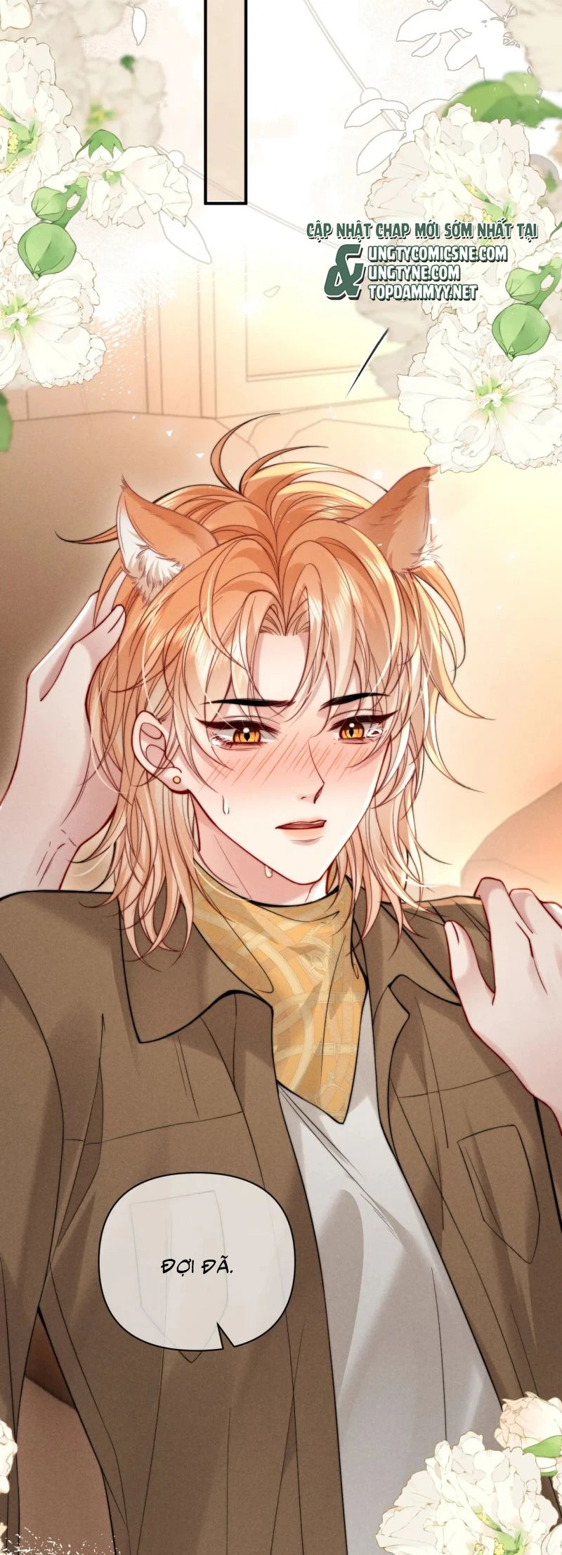 Tật Xấu Nuông Chiều Chapter 47 - 15