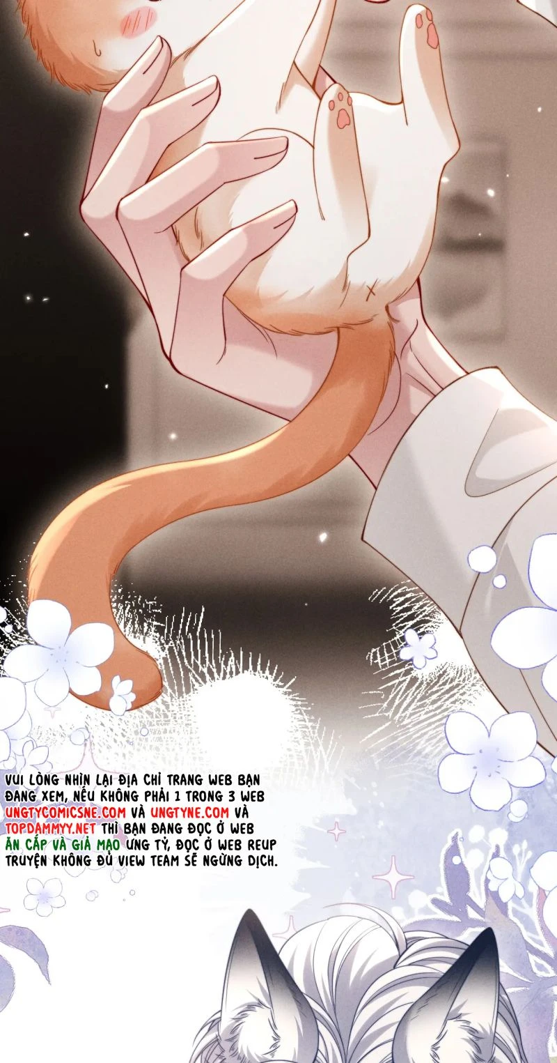 Tật Xấu Nuông Chiều Chapter 53 - 16