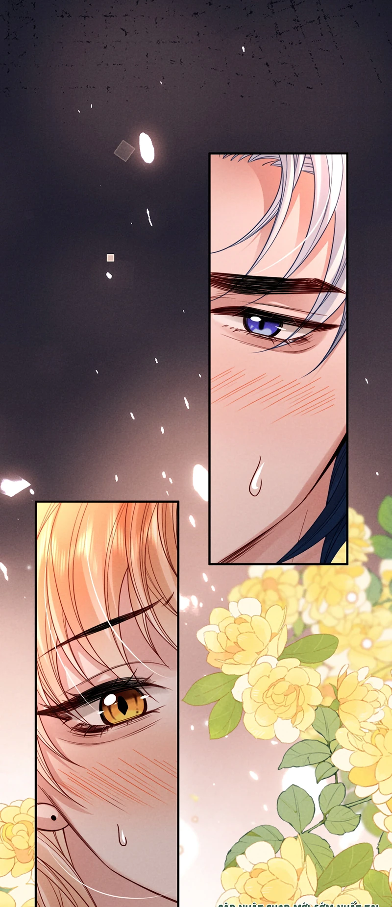 Tật Xấu Nuông Chiều Chapter 60 - 14