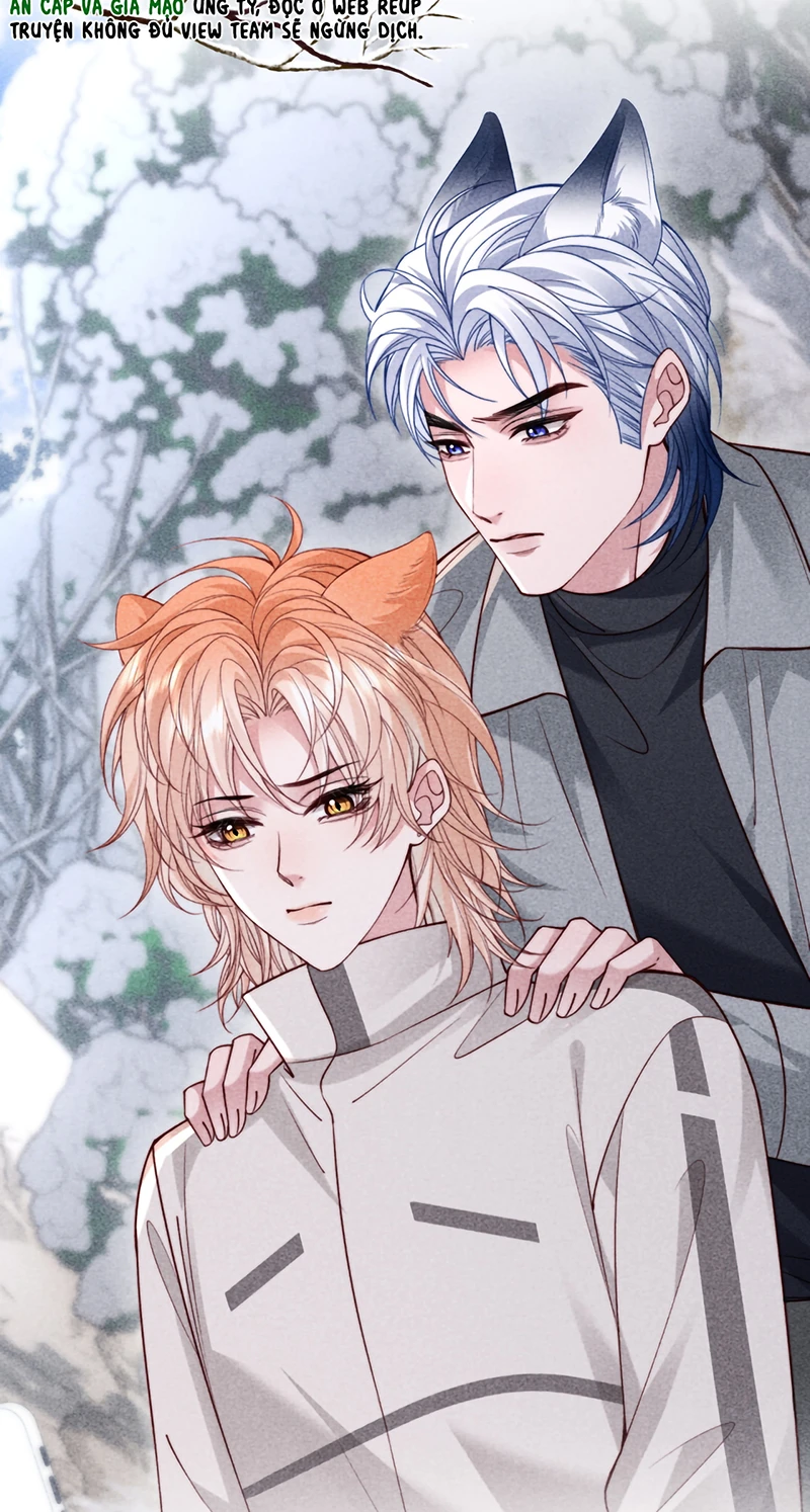 Tật Xấu Nuông Chiều Chapter 69 - 12