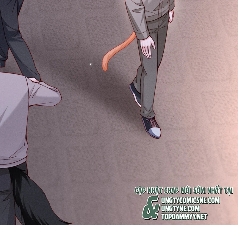 Tật Xấu Nuông Chiều Chapter 73 - 21