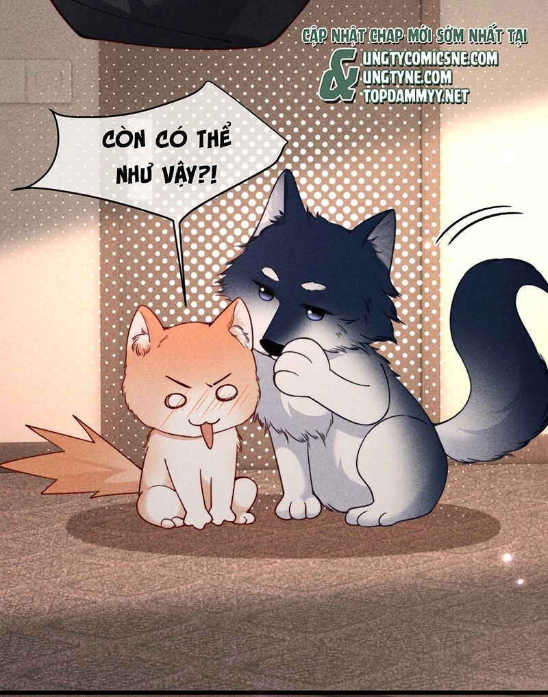 Tật Xấu Nuông Chiều Chapter 80 - 26