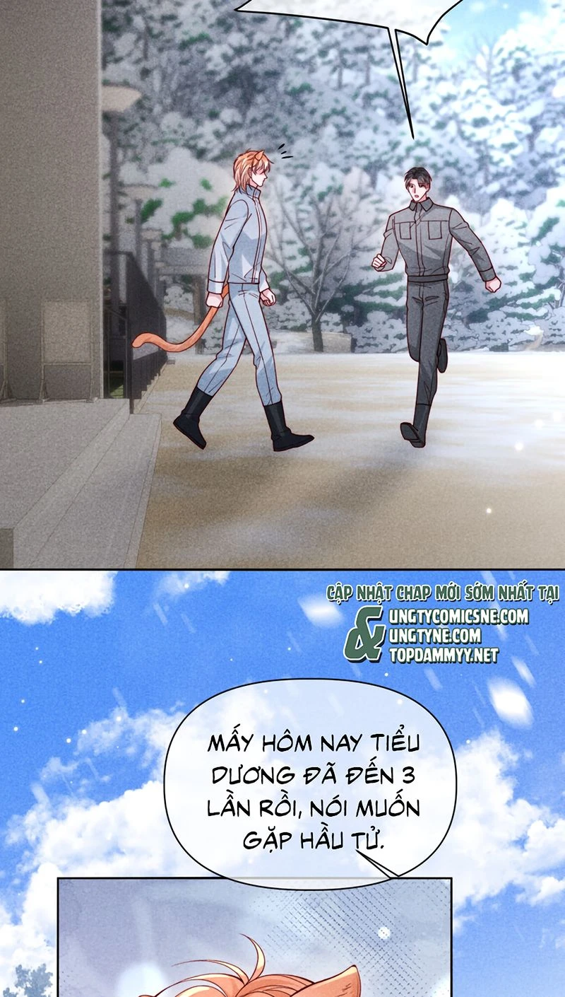 Tật Xấu Nuông Chiều Chapter 81 - 43