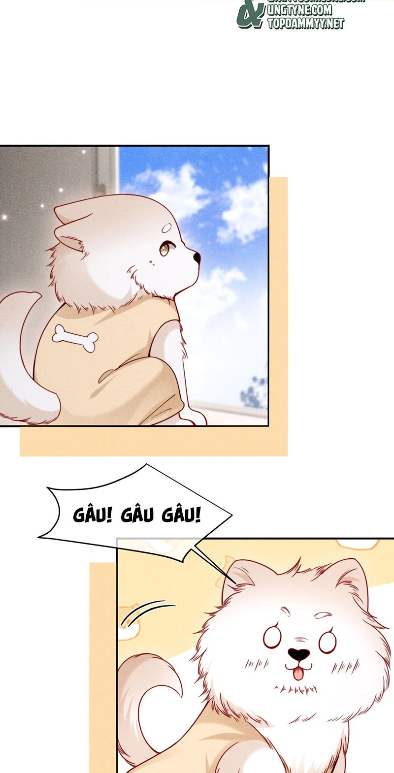Tật Xấu Nuông Chiều Chapter 82 - 39