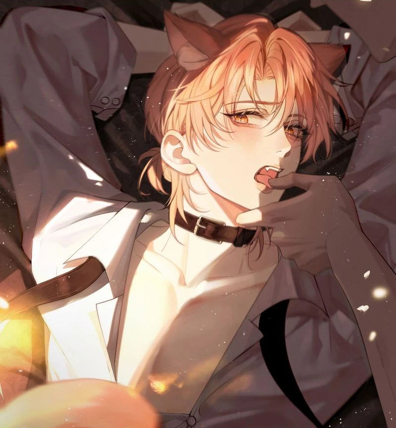 Tật Xấu Nuông Chiều Chapter 87 - 1