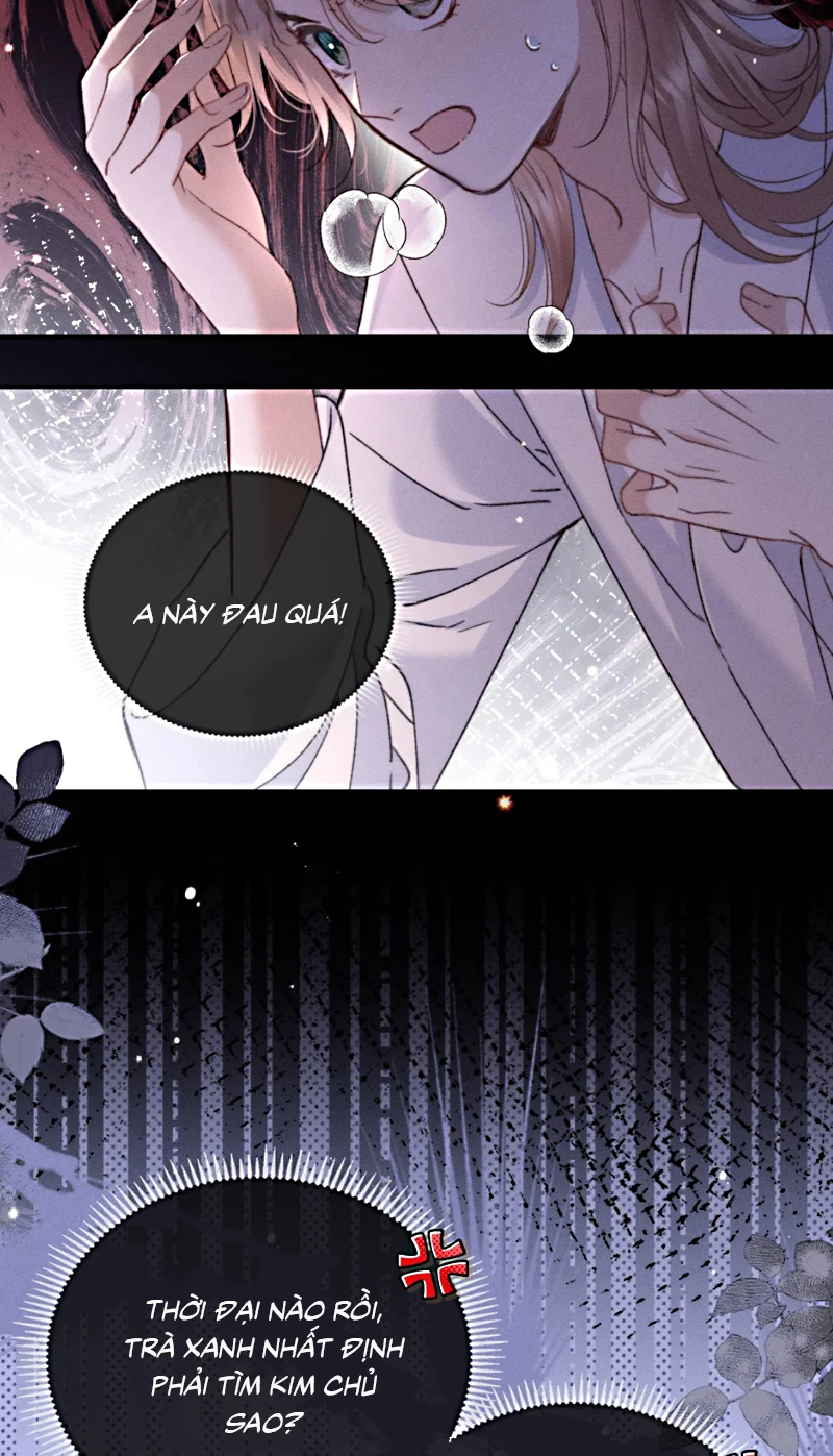 Hình Tượng Của Tôi Không Thể Sập Chapter 6 - 11