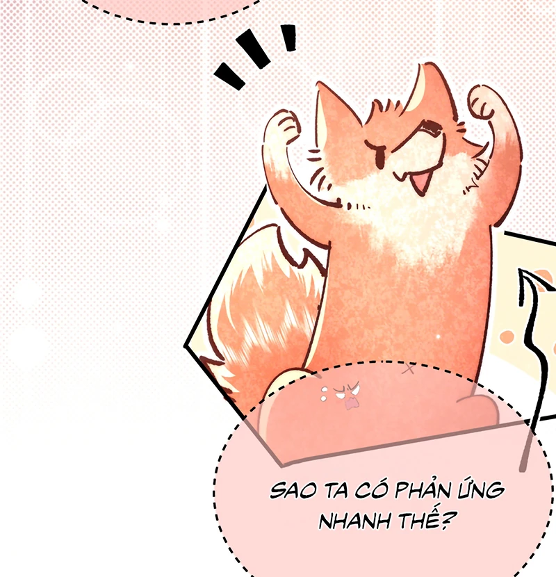 Yêu Là Mong Người Sống – [Hệ Thống Giết Vợ] Chapter 26 - 31