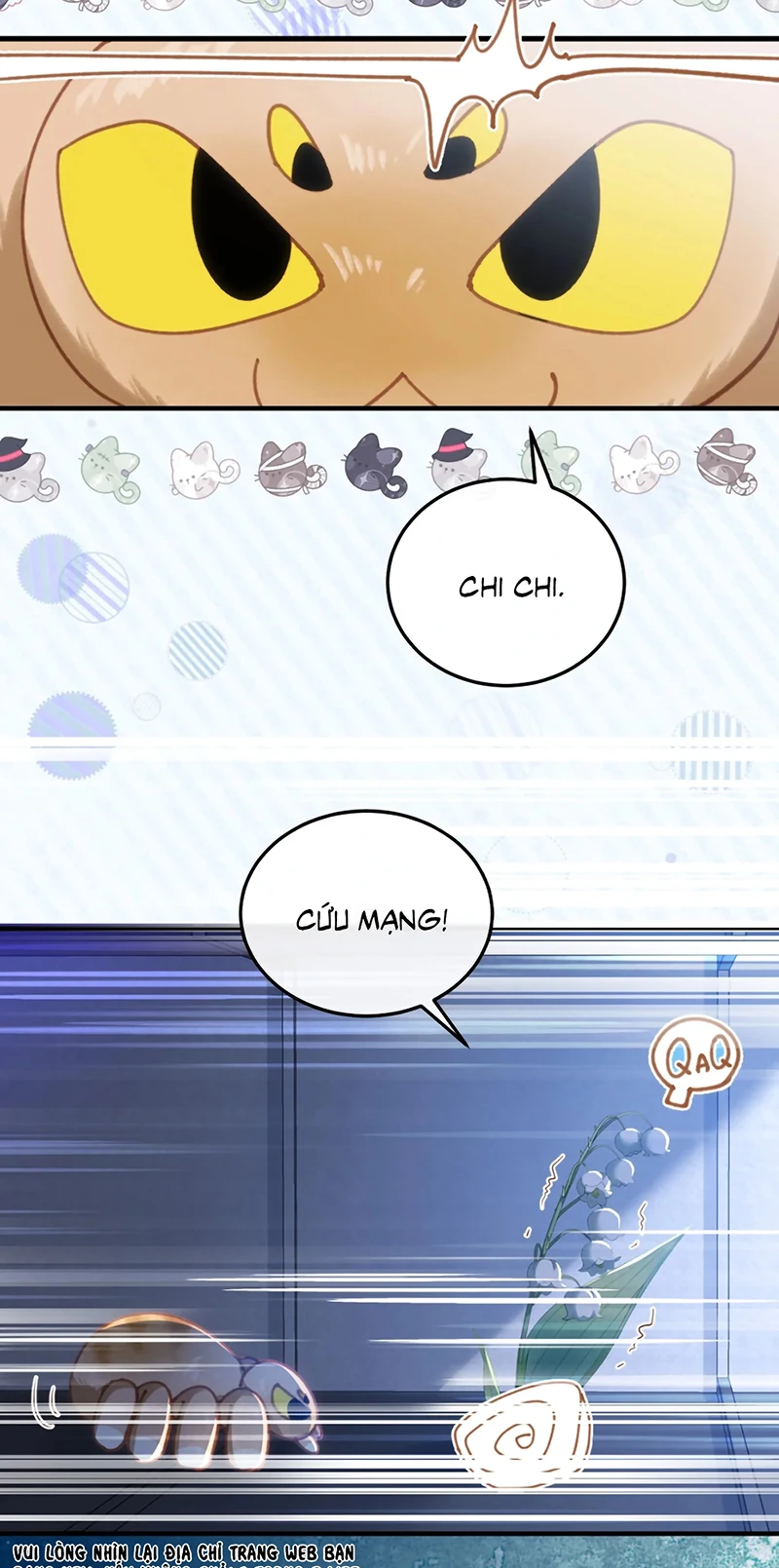 Vì Sao Của Tương Lai Đang Đợi Bạn Chapter 8 - 25