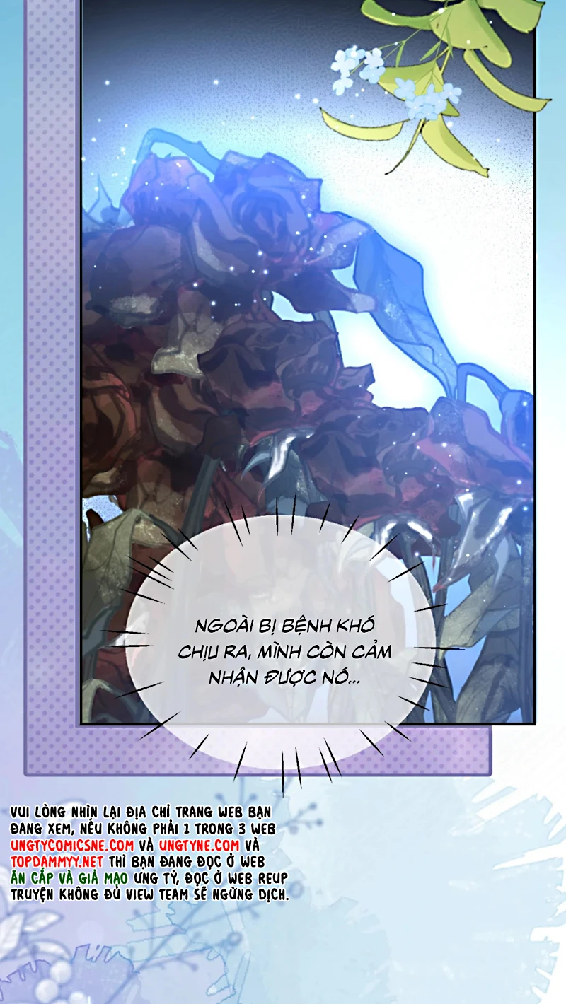 Vì Sao Của Tương Lai Đang Đợi Bạn Chapter 13 - 13