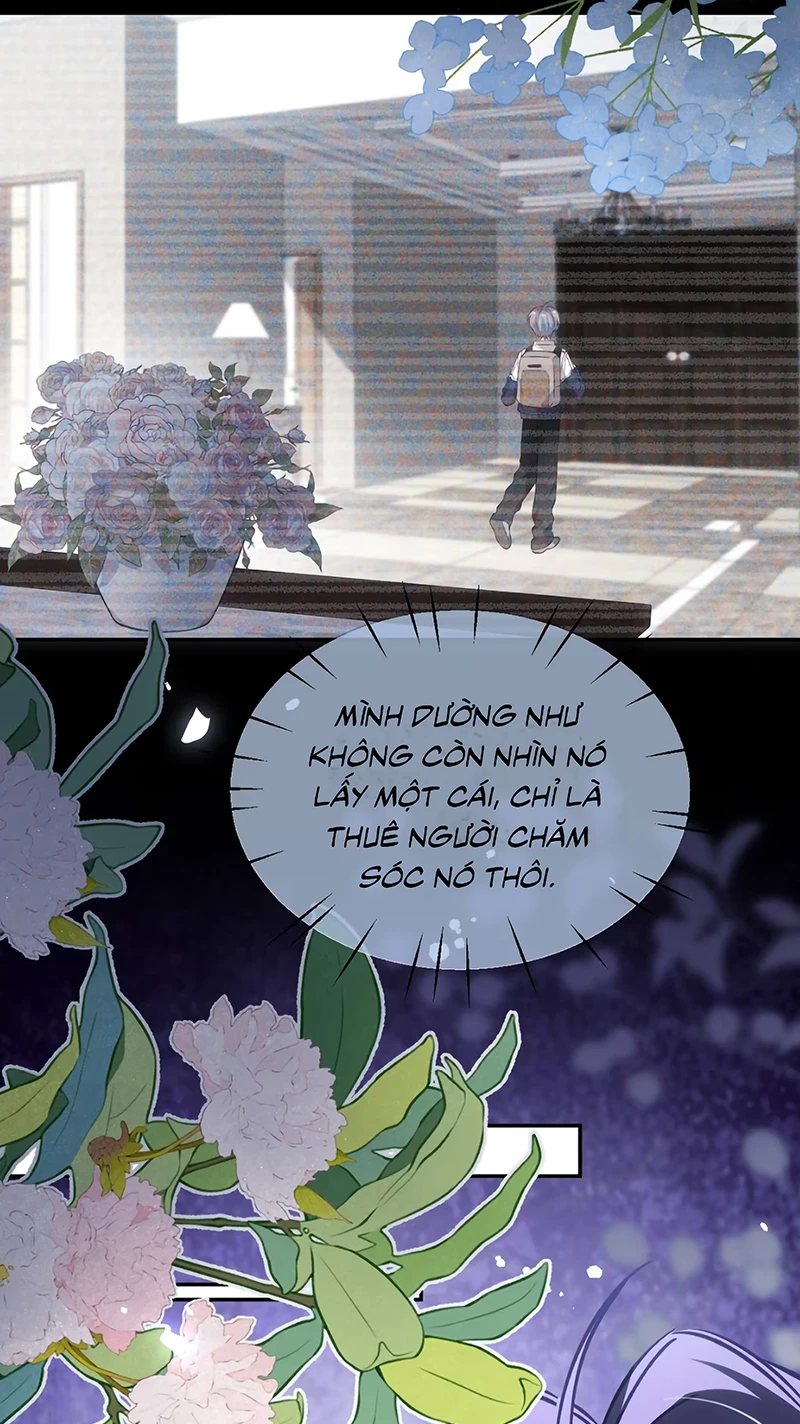 Vì Sao Của Tương Lai Đang Đợi Bạn Chapter 13 - 29