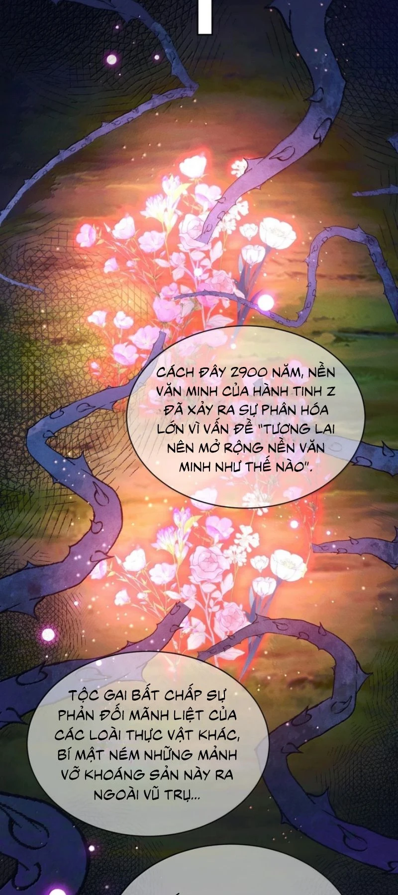 Vì Sao Của Tương Lai Đang Đợi Bạn Chapter 25 - 3