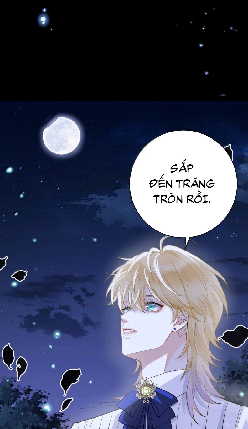 Bản Tình Ca Nụ Hôn Tù Ái Chapter 11 - 23