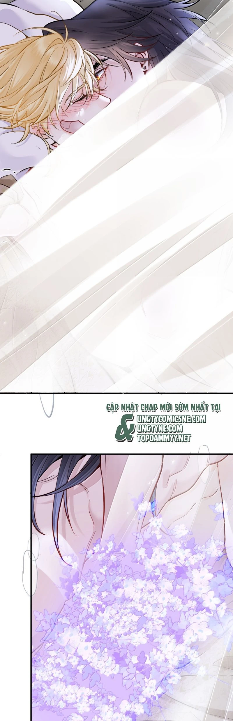 Bản Tình Ca Nụ Hôn Tù Ái Chapter 26 - 2