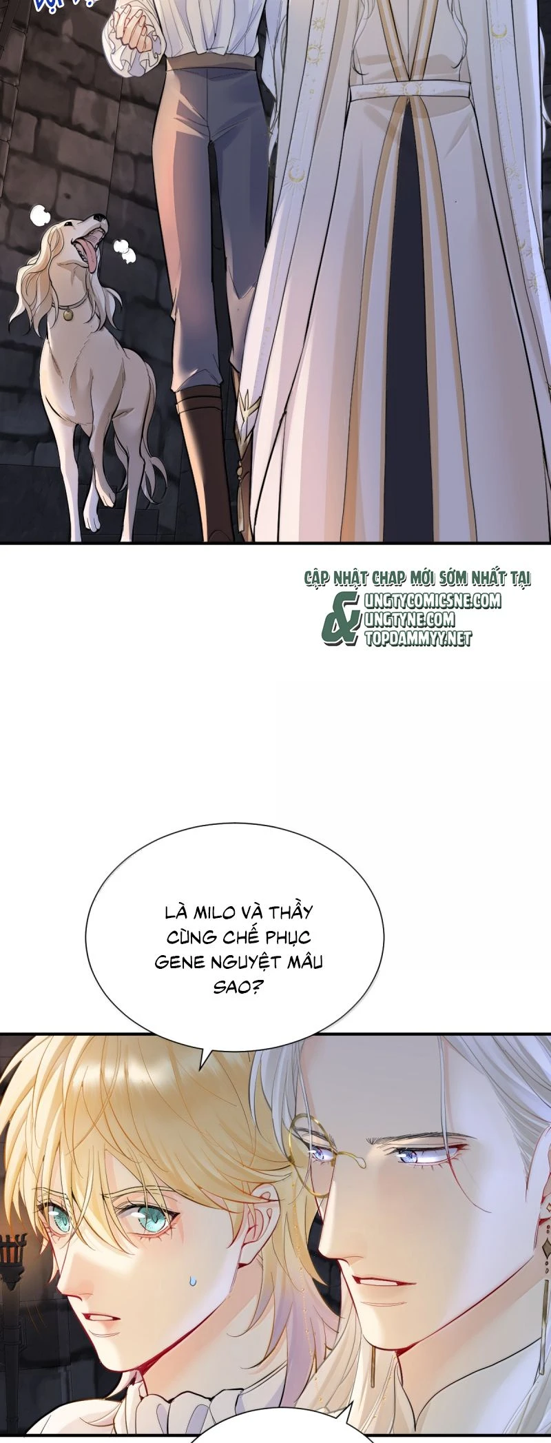 Bản Tình Ca Nụ Hôn Tù Ái Chapter 41 - 2