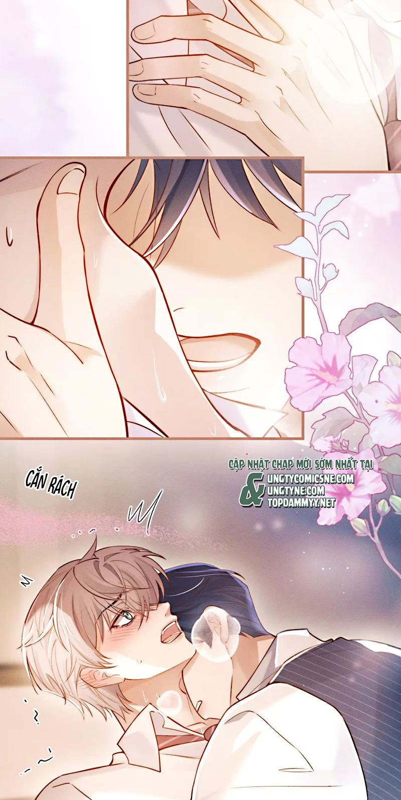 Tiêu Rồi, Sau Khi Bị Đánh Dấu Sinh Trứng Rắn Rồi Chapter 1 - 35