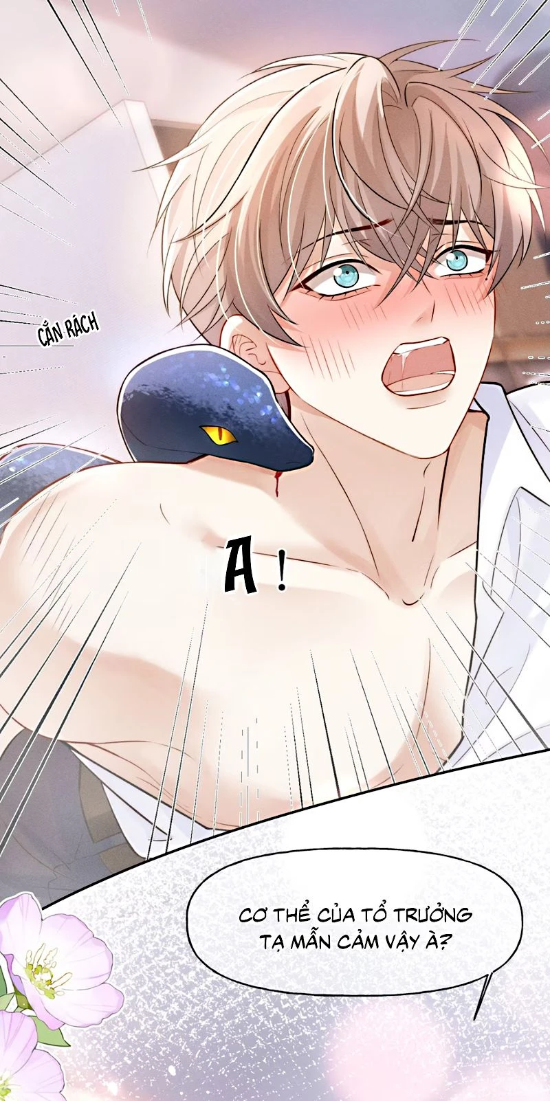 Tiêu Rồi, Sau Khi Bị Đánh Dấu Sinh Trứng Rắn Rồi Chapter 4 - 6